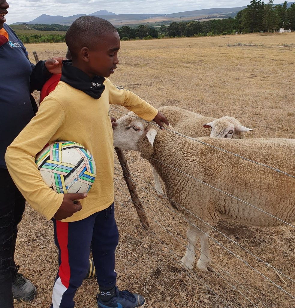 273389615_7263136387060085_3375513818343316735_n